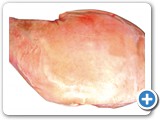 23-Paleta suina com pele